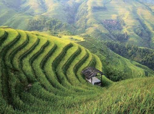 農田排灌、水利領域